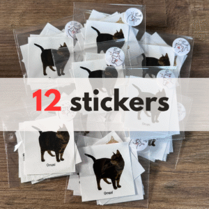 Stickers van Poezeloutjes - 12 stuks