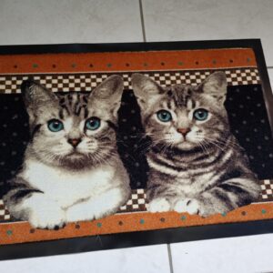 Deurmat - twee tijgerkatjes